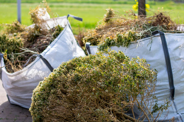 Best Dumpster Rental Services  in San Dimas, CA